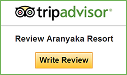 Resort in kerala | Resort in Munnar | Resorts in India